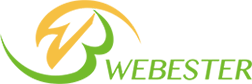 Webester Lighting Logo